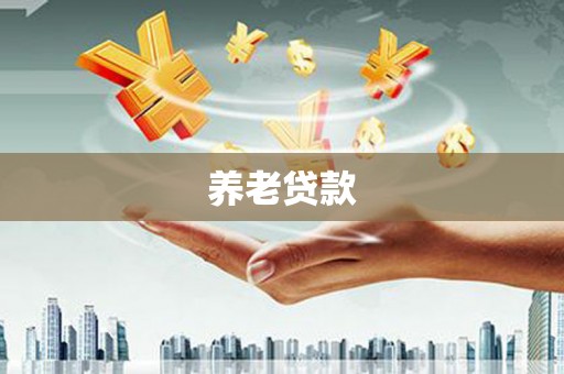 学甲养老贷款