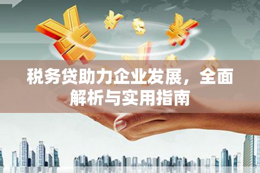 学甲税务贷助力企业发展，全面解析与实用指南