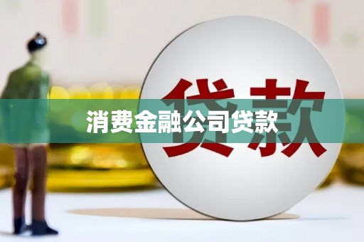学甲消费金融公司贷款