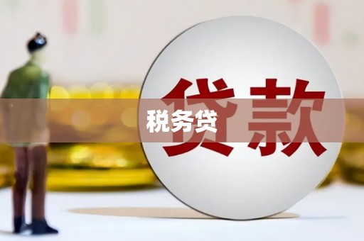 学甲税务贷