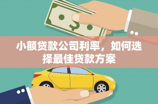 学甲小额贷款公司利率，如何选择最佳贷款方案
