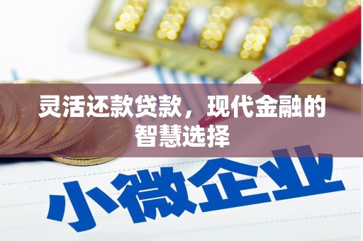 学甲灵活还款贷款，现代金融的智慧选择