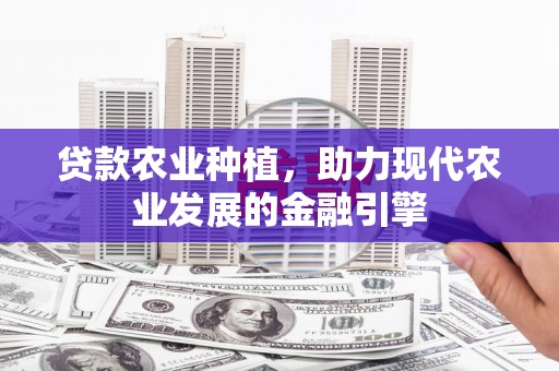 学甲贷款农业种植，助力现代农业发展的金融引擎