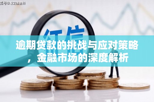 学甲逾期贷款的挑战与应对策略，金融市场的深度解析