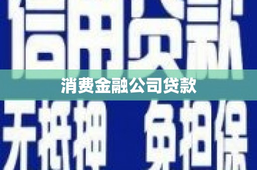 学甲消费金融公司贷款