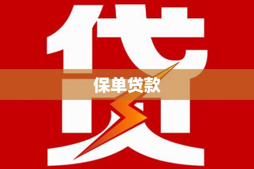 学甲保单贷款