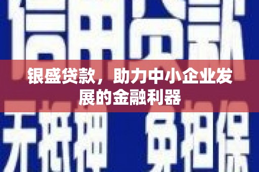 学甲银盛贷款，助力中小企业发展的金融利器