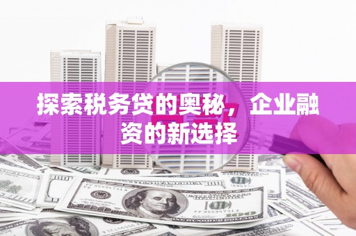 学甲探索税务贷的奥秘，企业融资的新选择