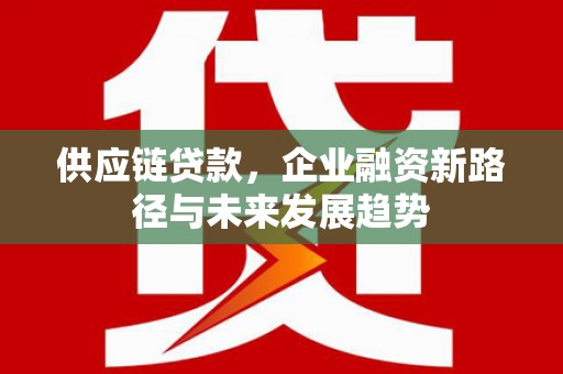学甲供应链贷款，企业融资新路径与未来发展趋势