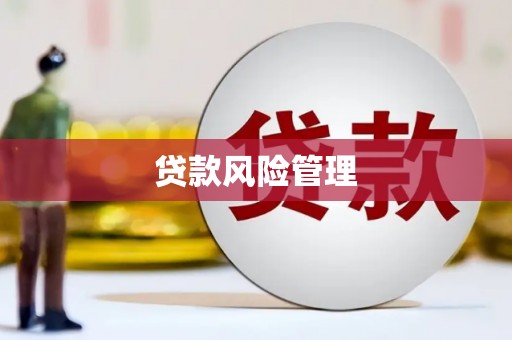 学甲贷款风险管理