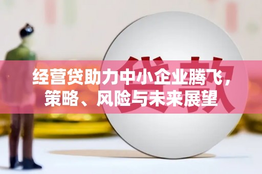 学甲经营贷助力中小企业腾飞，策略、风险与未来展望