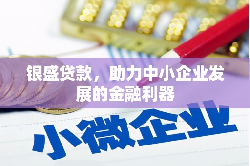 学甲银盛贷款，助力中小企业发展的金融利器