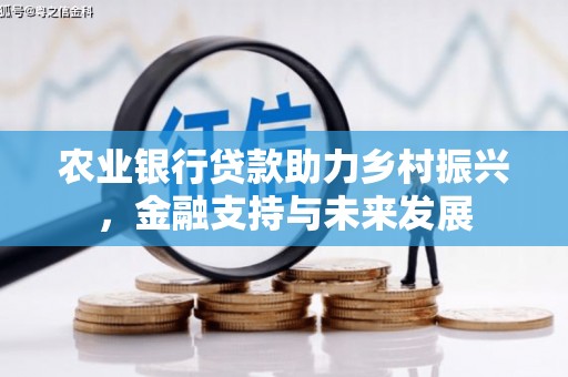学甲农业银行贷款助力乡村振兴，金融支持与未来发展