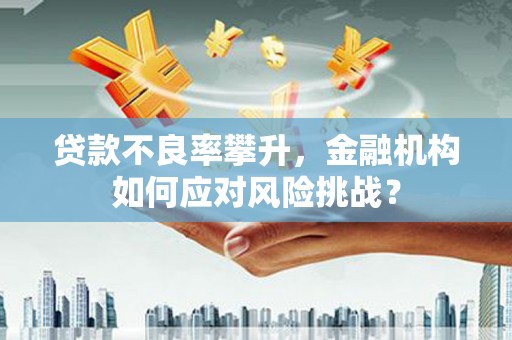学甲贷款不良率攀升，金融机构如何应对风险挑战？