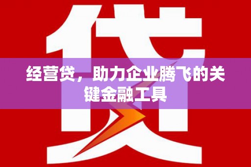 学甲经营贷，助力企业腾飞的关键金融工具