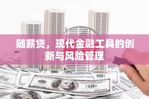 学甲随薪贷，现代金融工具的创新与风险管理