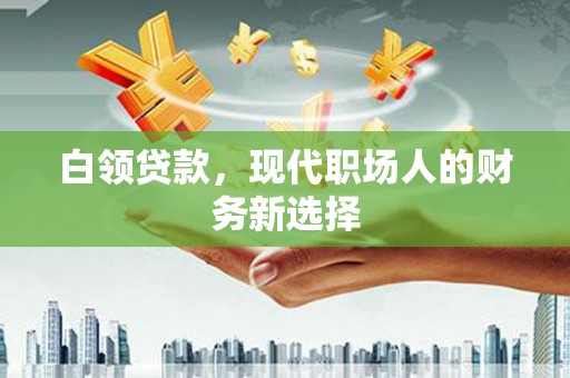 学甲白领贷款，现代职场人的财务新选择