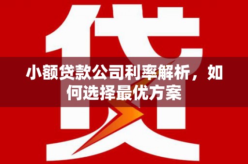 学甲小额贷款公司利率解析，如何选择最优方案