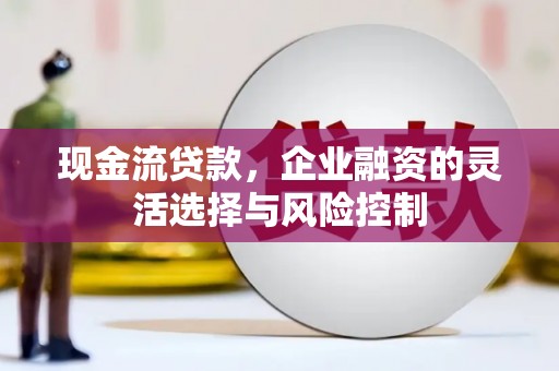 学甲现金流贷款，企业融资的灵活选择与风险控制