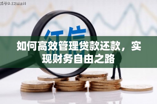 学甲如何高效管理贷款还款，实现财务自由之路