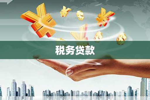 学甲税务贷款