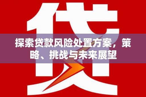 学甲探索贷款风险处置方案，策略、挑战与未来展望
