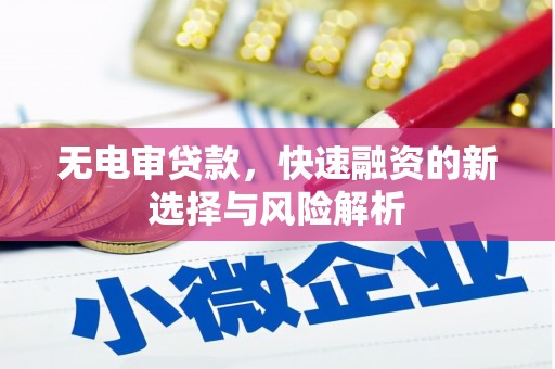 学甲无电审贷款，快速融资的新选择与风险解析