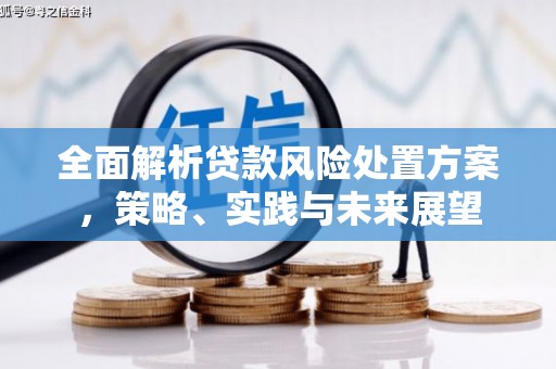 学甲全面解析贷款风险处置方案，策略、实践与未来展望
