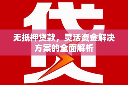 学甲无抵押贷款，灵活资金解决方案的全面解析