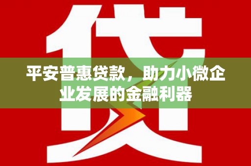 学甲平安普惠贷款，助力小微企业发展的金融利器