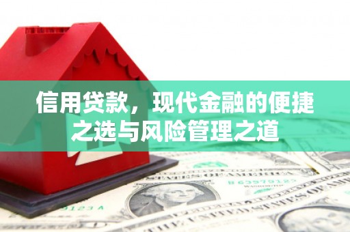 学甲信用贷款，现代金融的便捷之选与风险管理之道