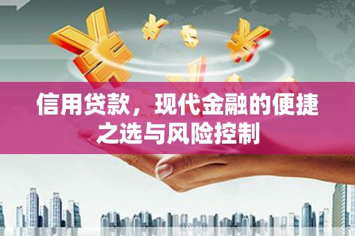学甲信用贷款，现代金融的便捷之选与风险控制