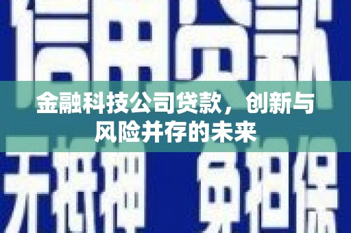 学甲金融科技公司贷款，创新与风险并存的未来