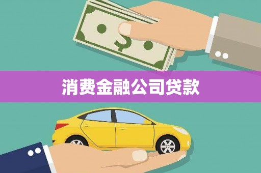 学甲消费金融公司贷款