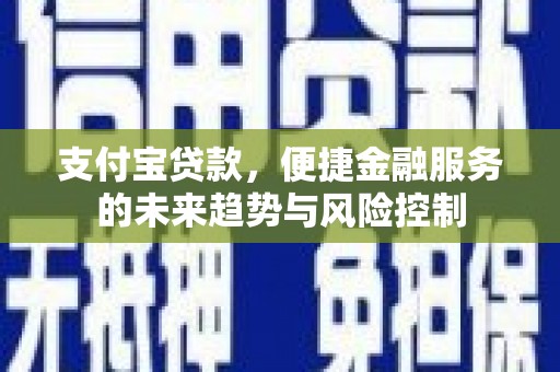 学甲支付宝贷款，便捷金融服务的未来趋势与风险控制