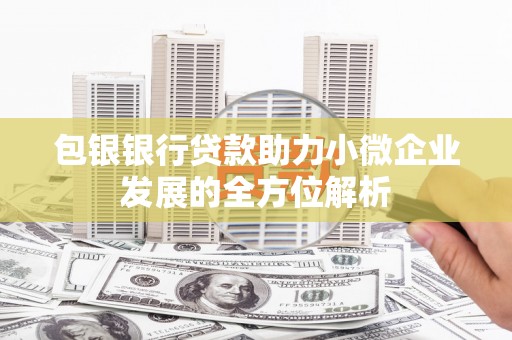 学甲包银银行贷款助力小微企业发展的全方位解析