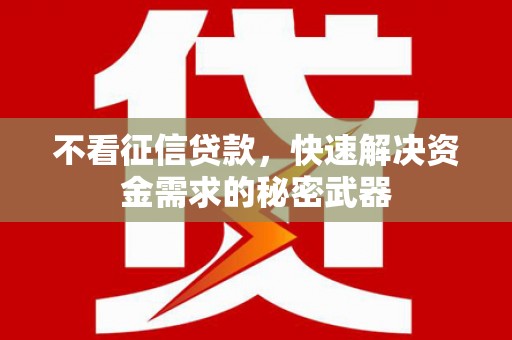 学甲不看征信贷款，快速解决资金需求的秘密武器