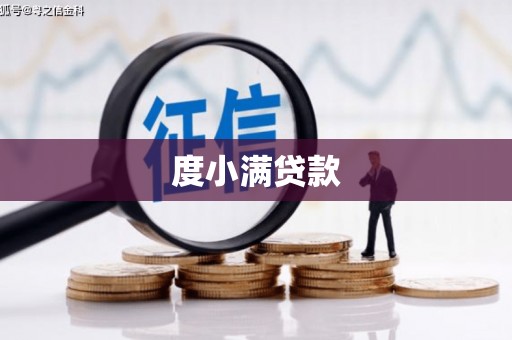 学甲度小满贷款