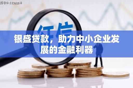 学甲银盛贷款，助力中小企业发展的金融利器