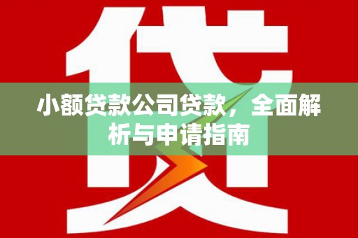 学甲小额贷款公司贷款，全面解析与申请指南