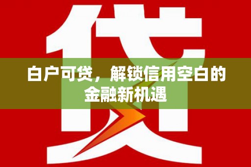 学甲白户可贷，解锁信用空白的金融新机遇