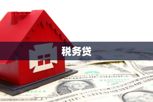 学甲税务贷