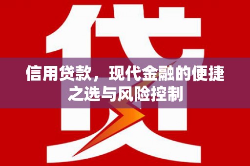 学甲信用贷款，现代金融的便捷之选与风险控制