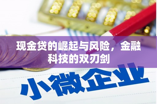 学甲现金贷的崛起与风险，金融科技的双刃剑