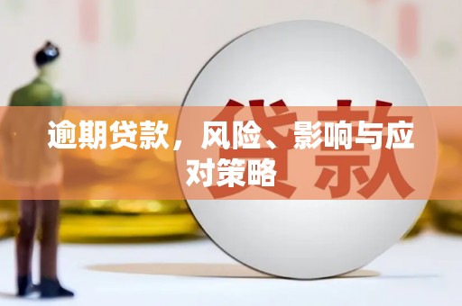学甲逾期贷款，风险、影响与应对策略