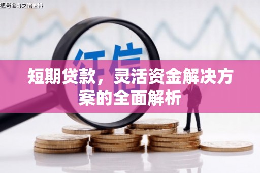 学甲短期贷款，灵活资金解决方案的全面解析