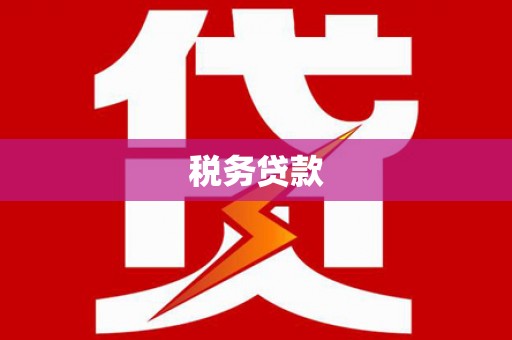 学甲税务贷款