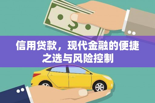 学甲信用贷款，现代金融的便捷之选与风险控制