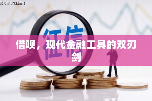 学甲借呗，现代金融工具的双刃剑