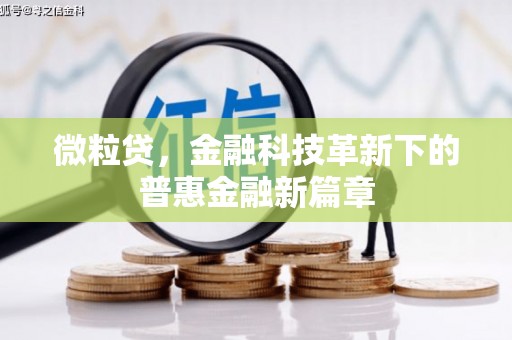 学甲微粒贷，金融科技革新下的普惠金融新篇章